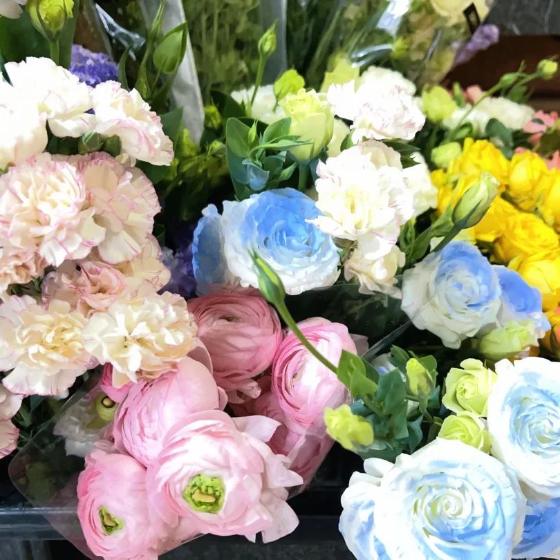 指尖绽放春光，邂逅浪漫职场力